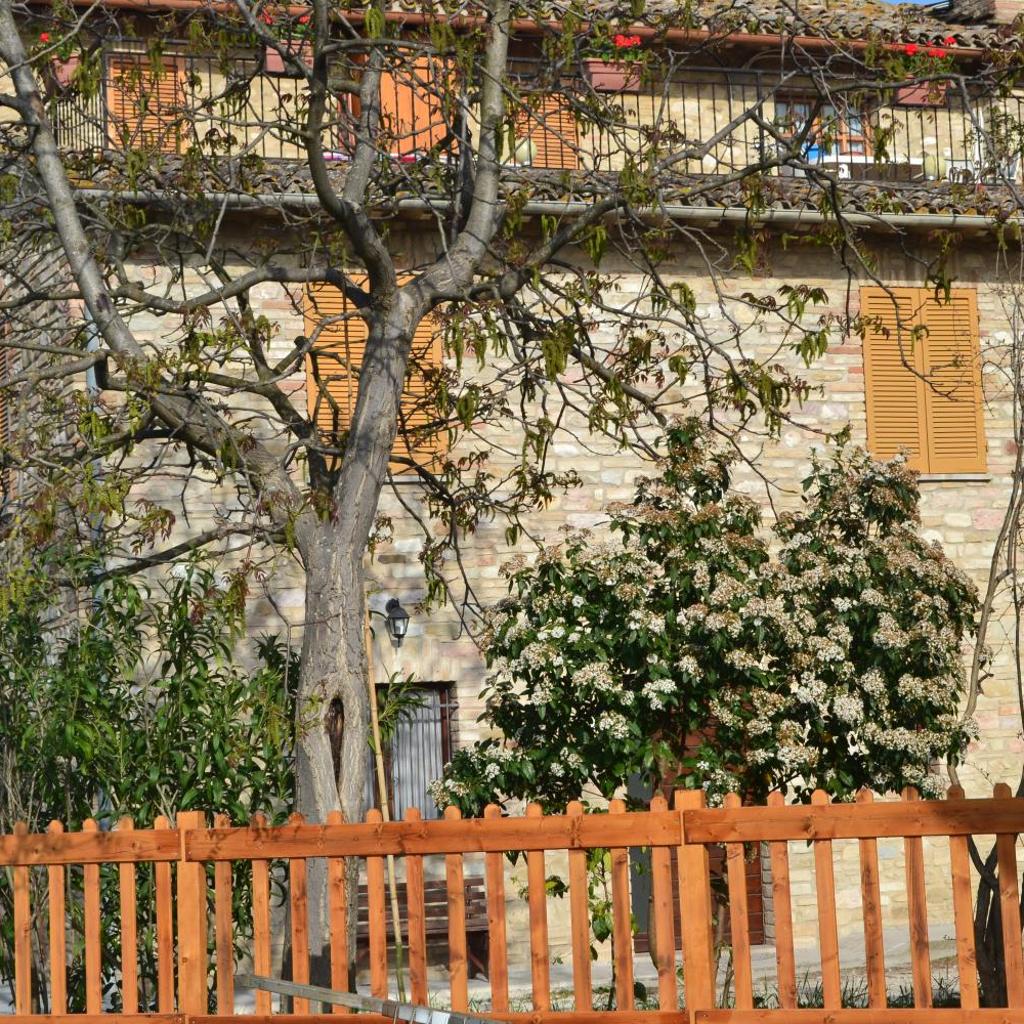 Camere I Monelli photo