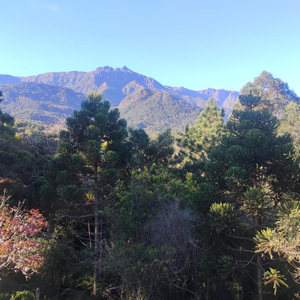 Cabana nas montanhas! — foto 3