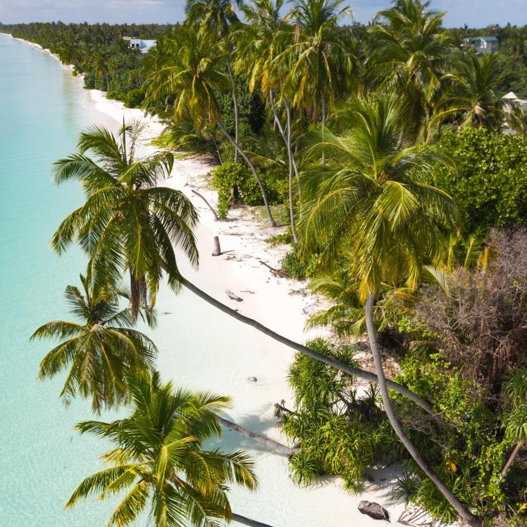 Moro SW Laamu, photo 4