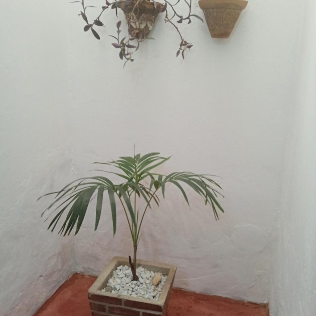 Casa MD — foto 5