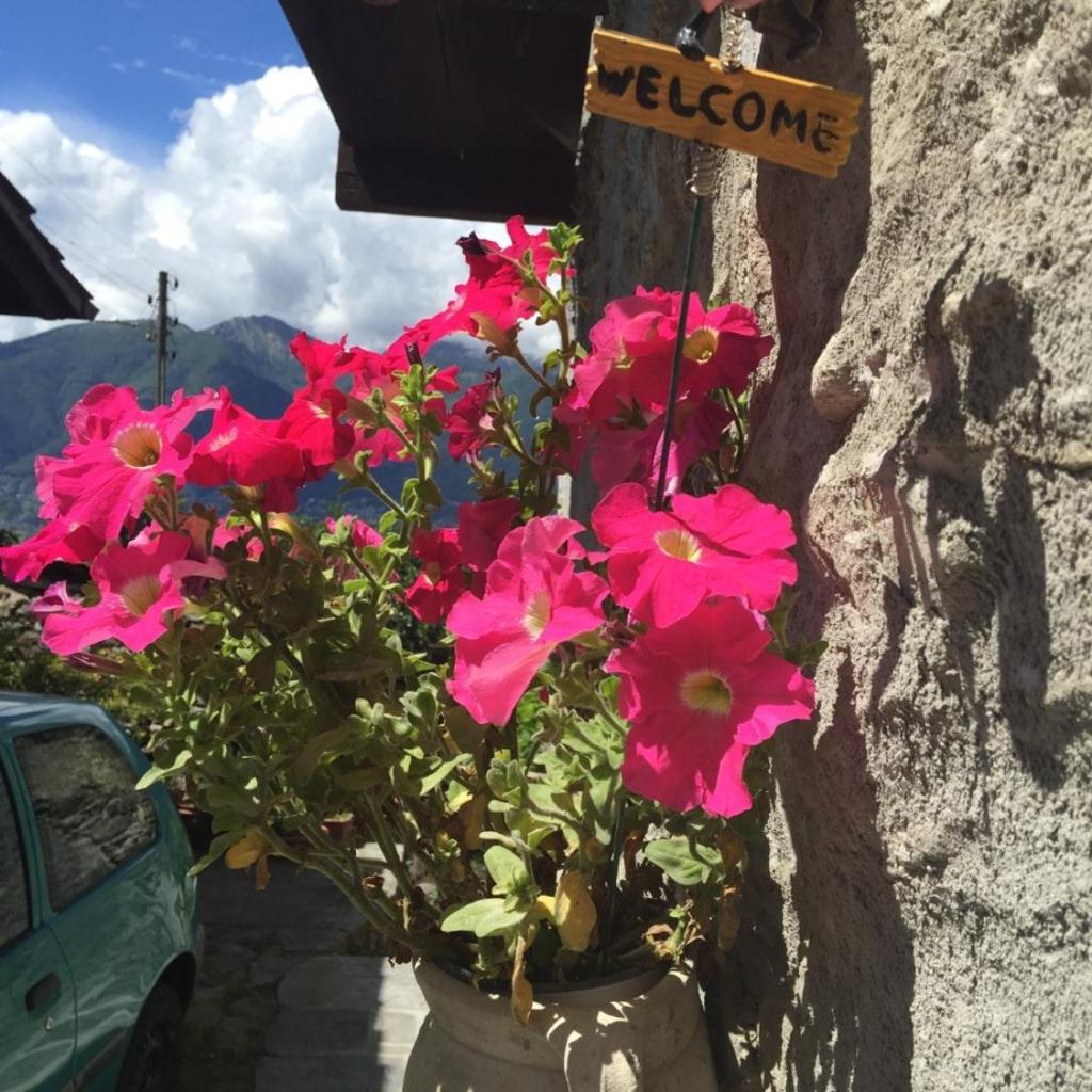 Image 12 - Casa Rustica