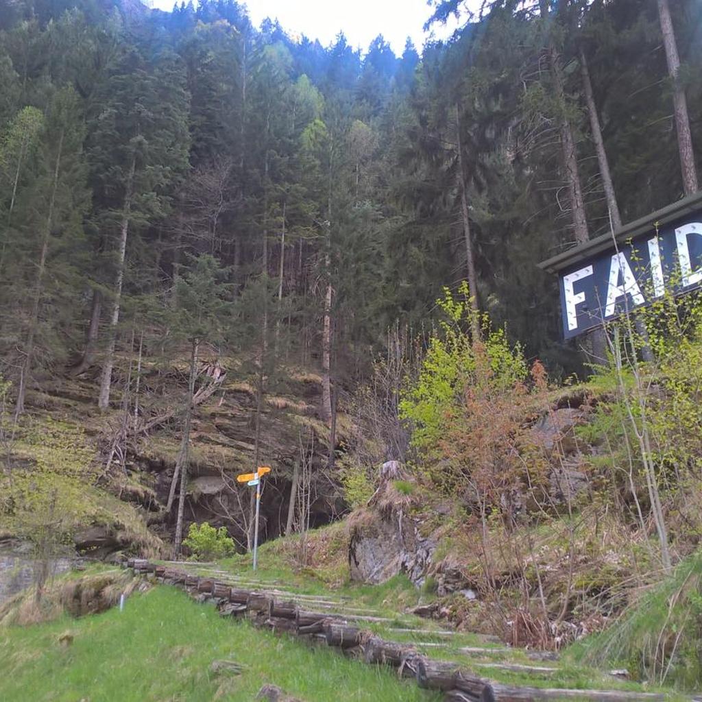 Albergo Faido – Bild