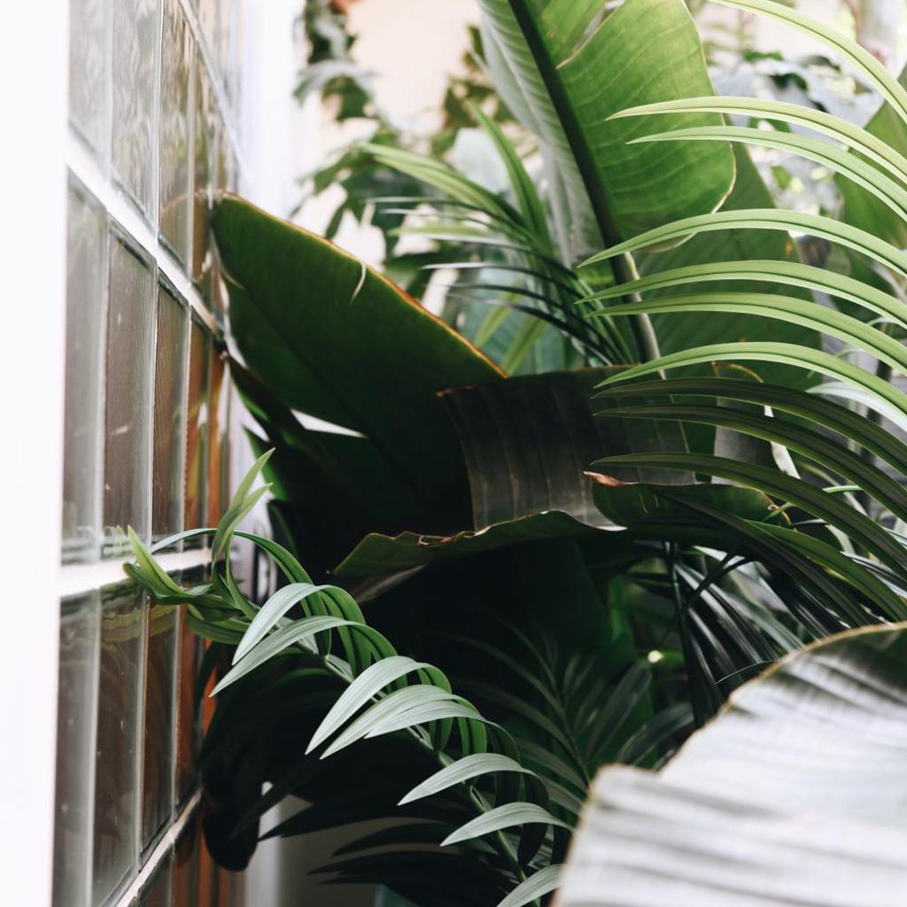 Miniatura dell'hotel 8