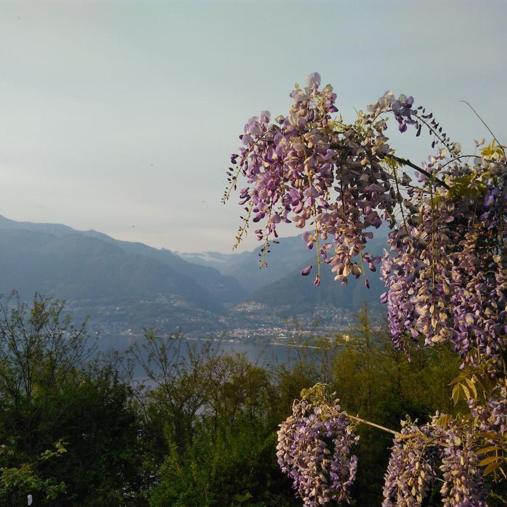 Image 1 - Sun, fun & relaxation, the Ticino for you!