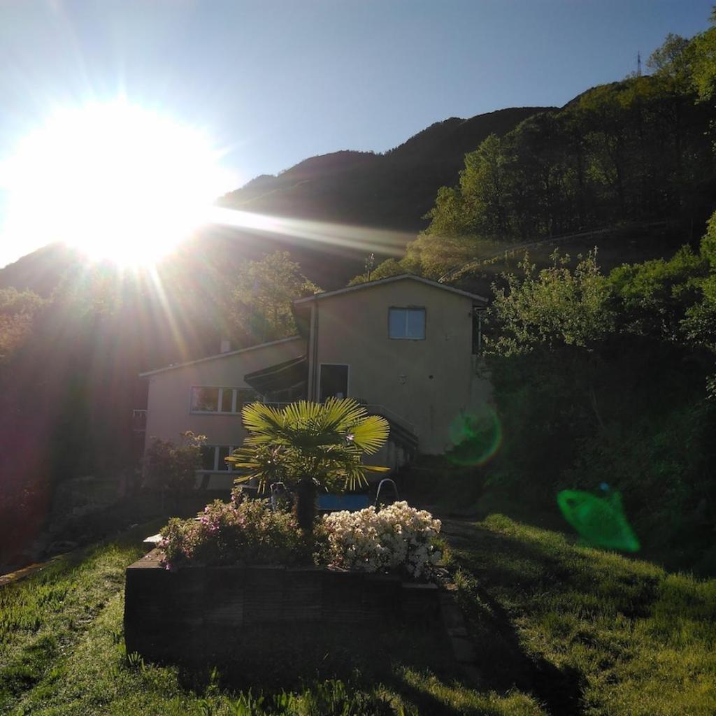 Image 5 - Sun, fun & relaxation, the Ticino for you!