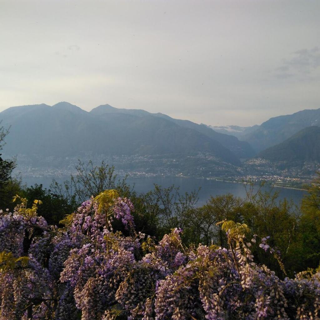 Image 24 - Sun, fun & relaxation, the Ticino for you!
