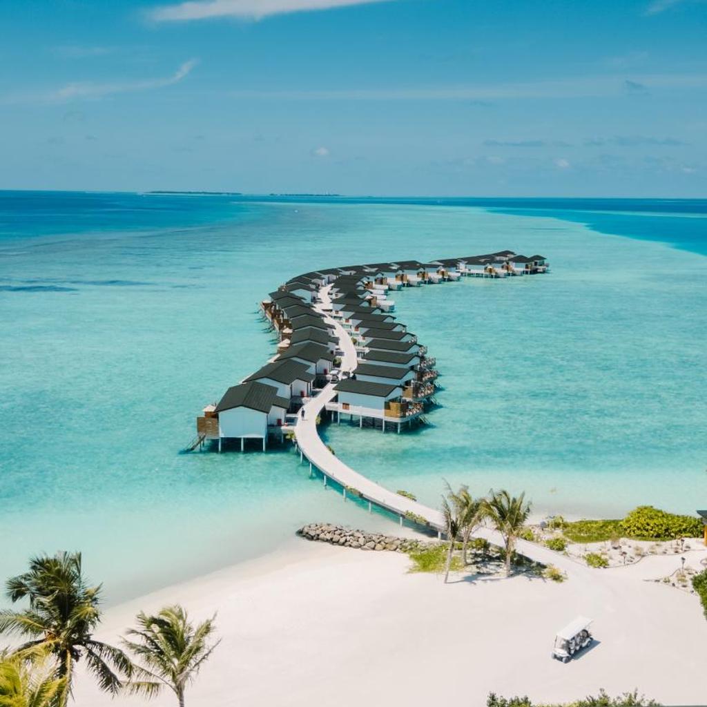 Joy Island, photo 5