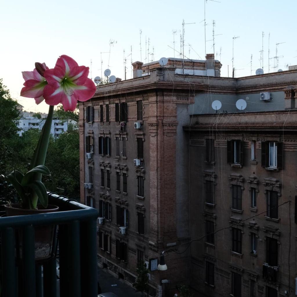 Photograph of Testaccio Room in Rome