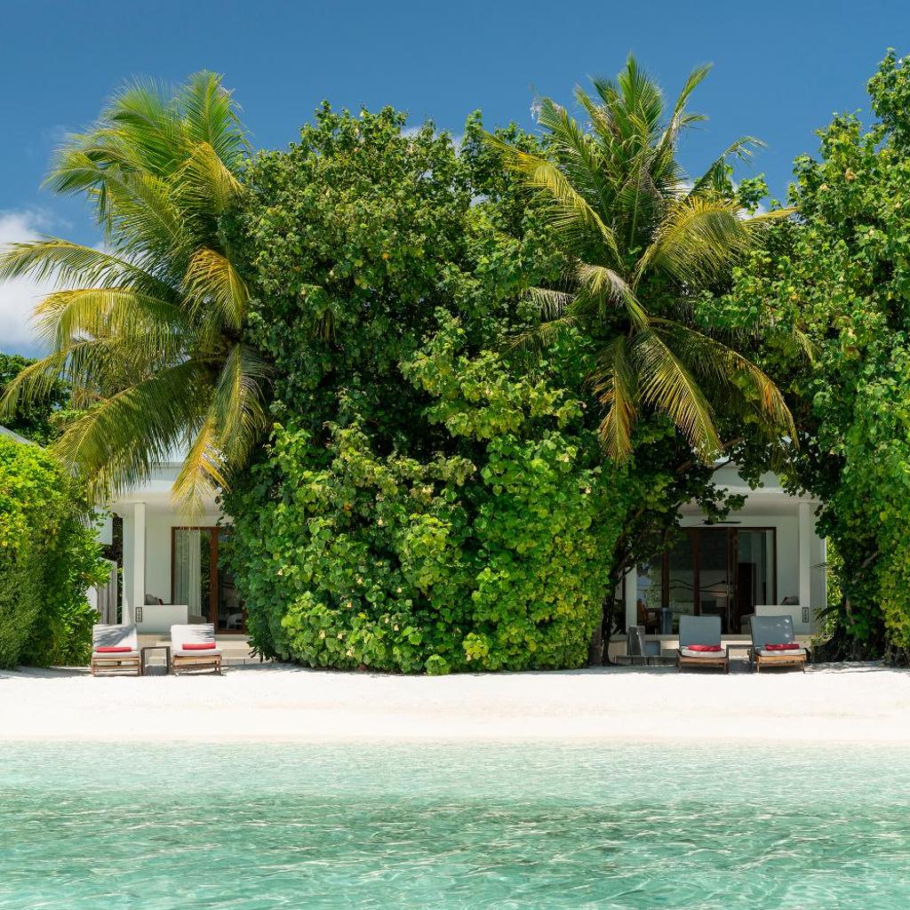 Niva Dhigali Maldives, photo 4