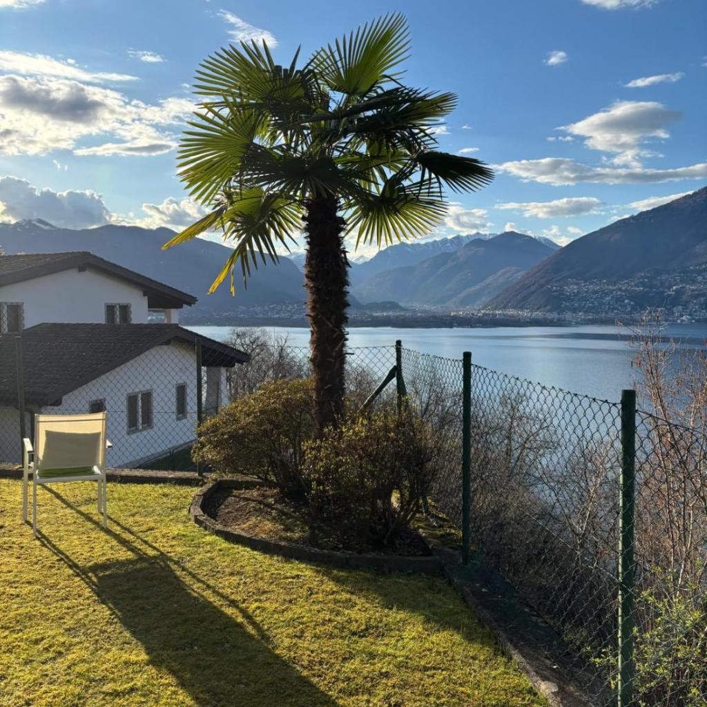 Image 3 - Studio Viramonte - charmantes Apartment mit Pool & Seeblick