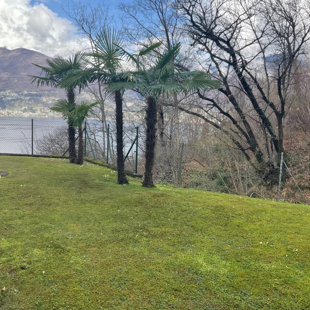 Image 18 - Studio Viramonte - charmantes Apartment mit Pool & Seeblick