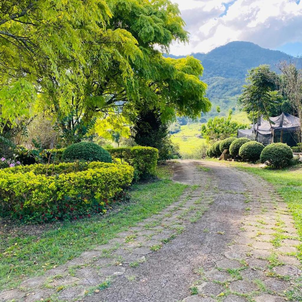 RECANTO FLORES DA MONTANHA- via fácil ASFALTO, VISTA das Montanhas — foto 5