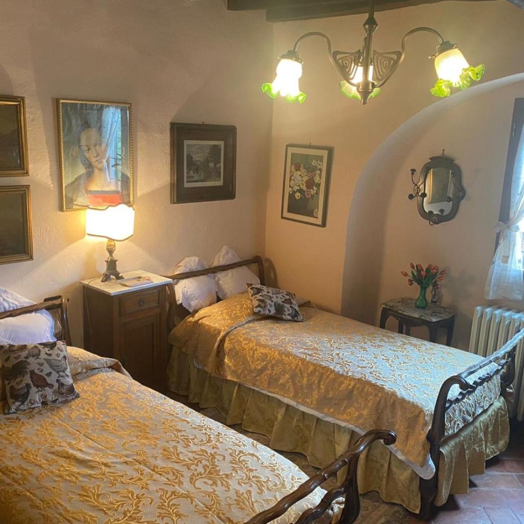B&B Elisir Toscana photo