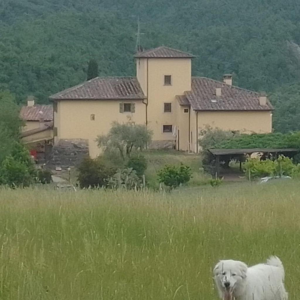 B&B Elisir Toscana photo