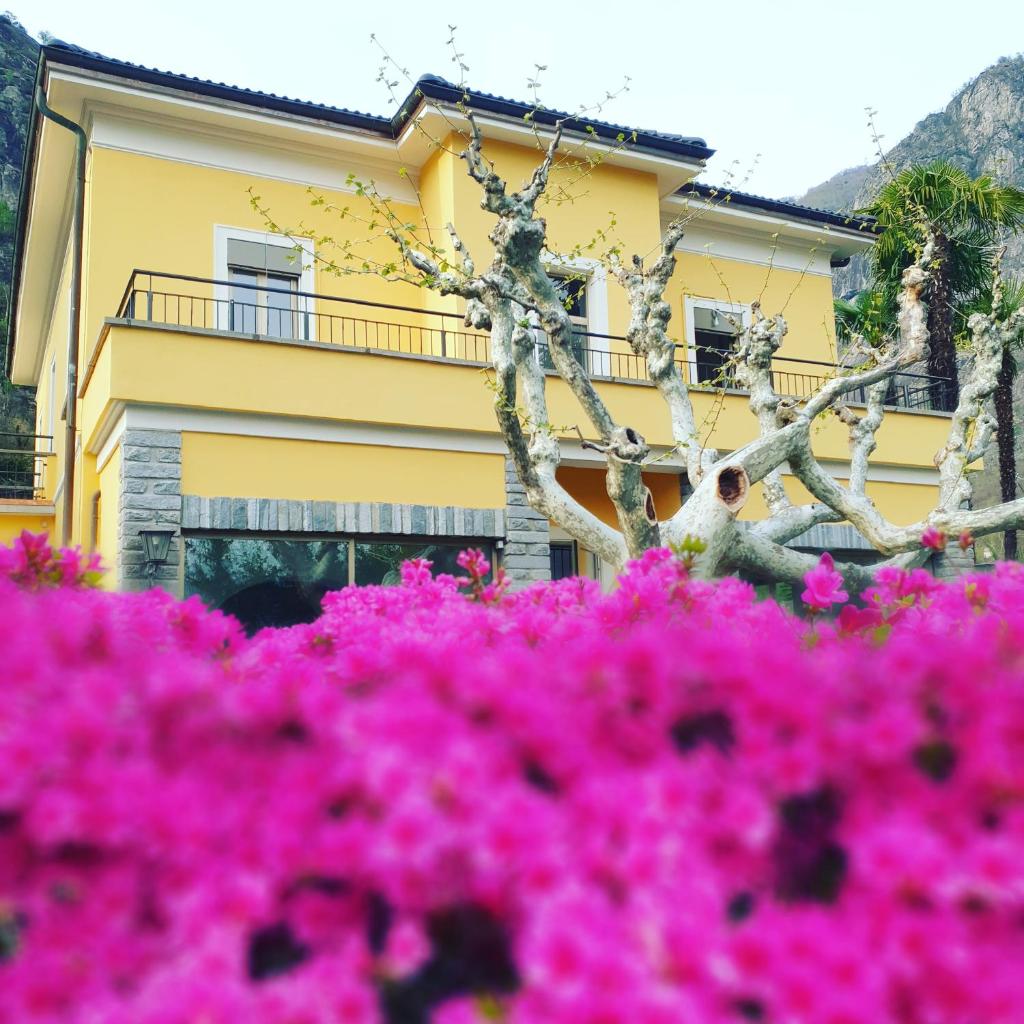 Image 9 - Villa Corfù