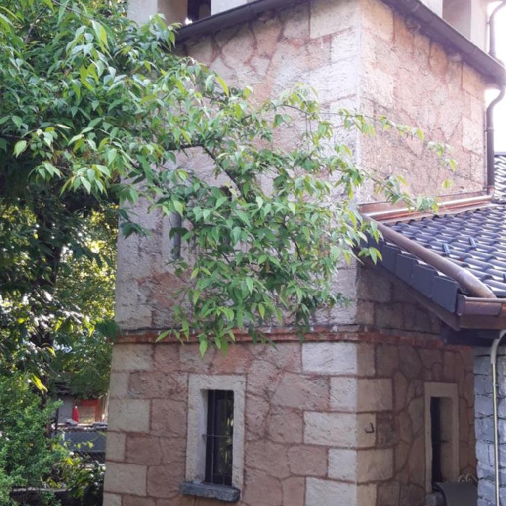 Image 12 - Villa Corfù