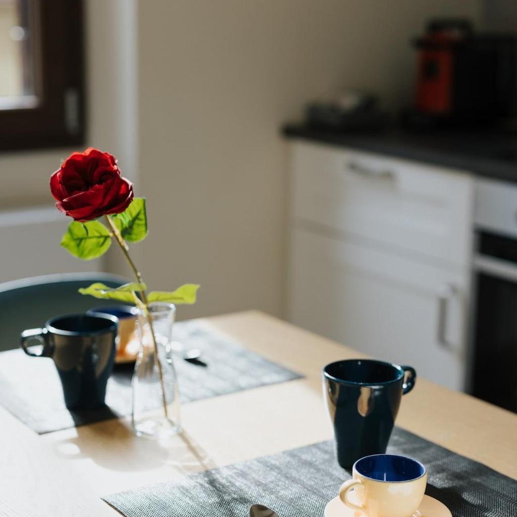 Photograph of Brand new apartment in the heart of Florence