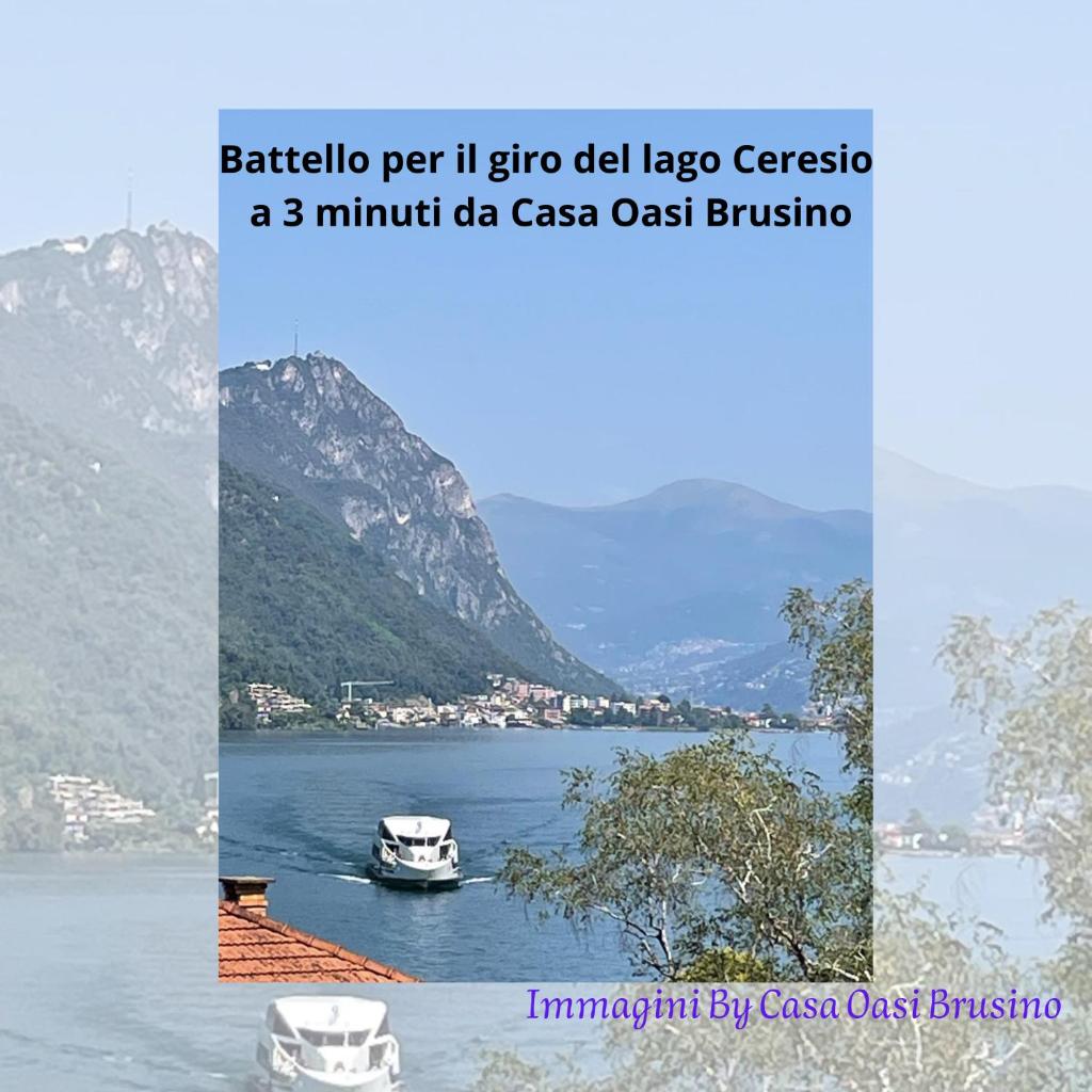 Image 39 - Casa Oasi Brusino