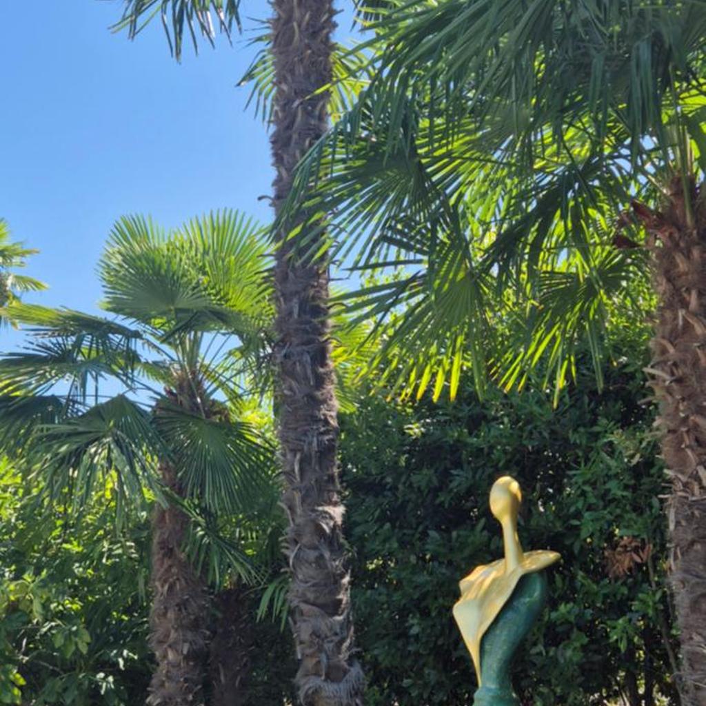 Hotel Tiziana – Bild