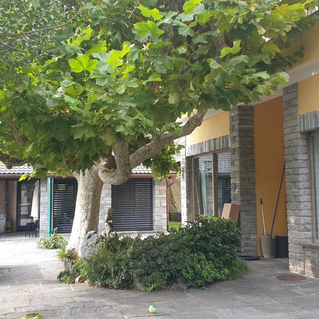 Image 44 - Villa Corfù