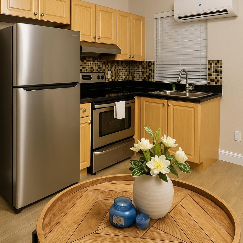 Photograph of Downtown Miami full apartment with kitchen