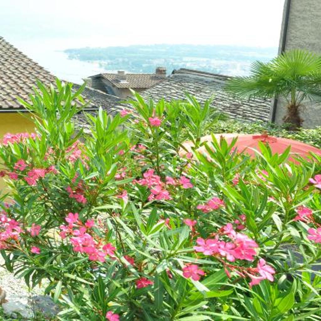 Image 14 - Casa Grillino
