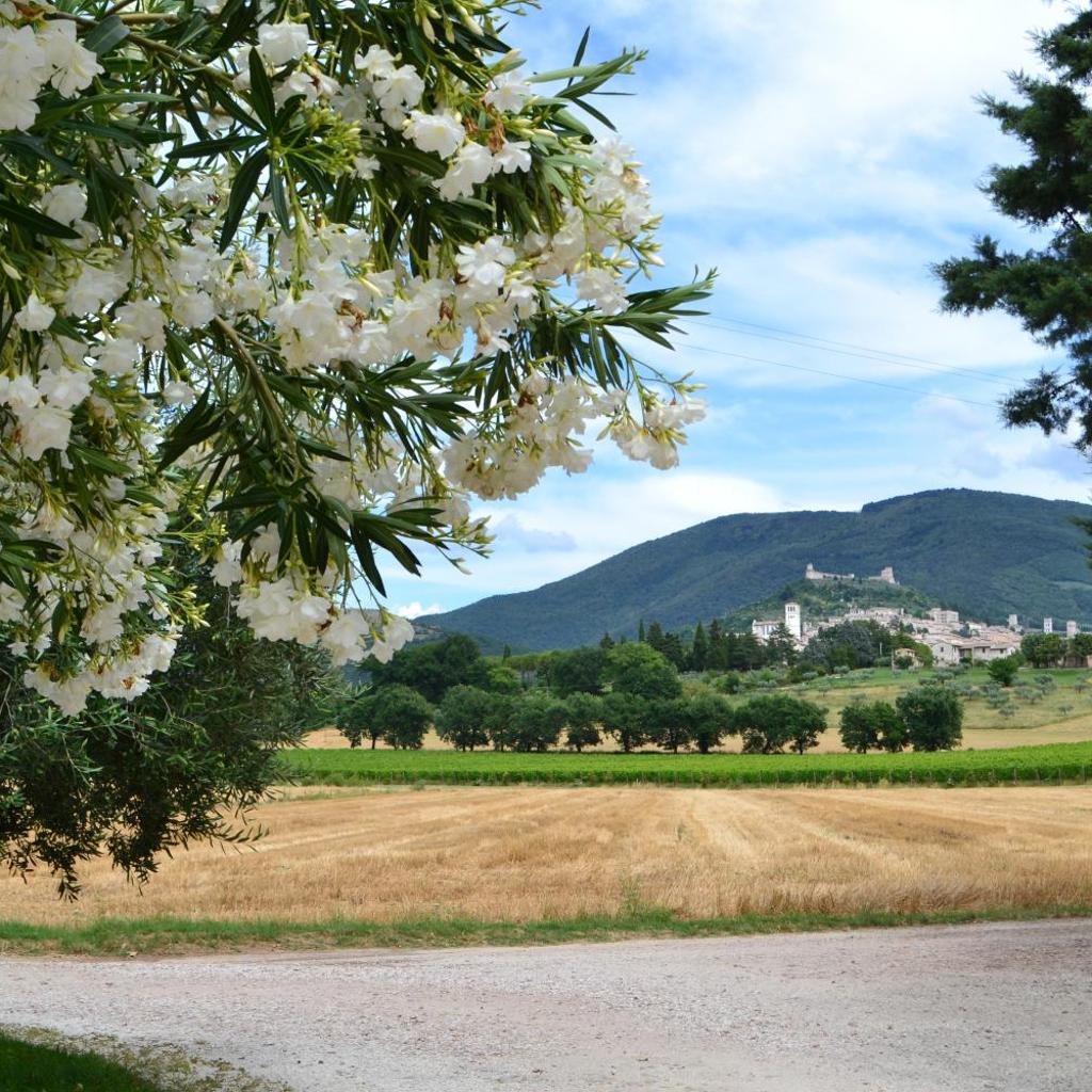 Camere I Monelli photo