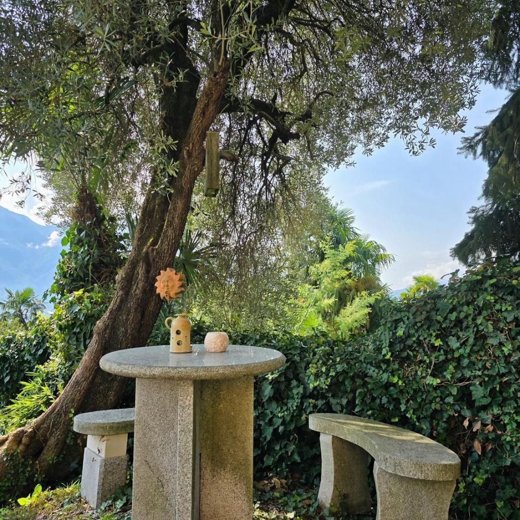 Image 0 - Villa Ida Früh by Holap SA
