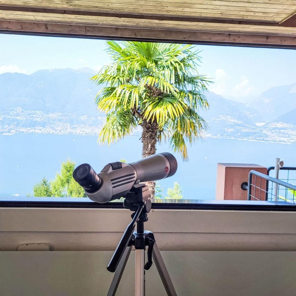 Image 33 - Apartment La Perla by Interhome