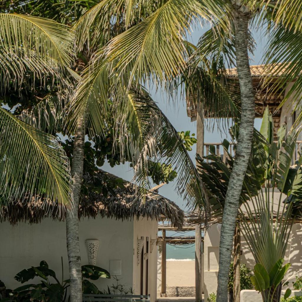 Zebra Boutique Hotel — foto 11