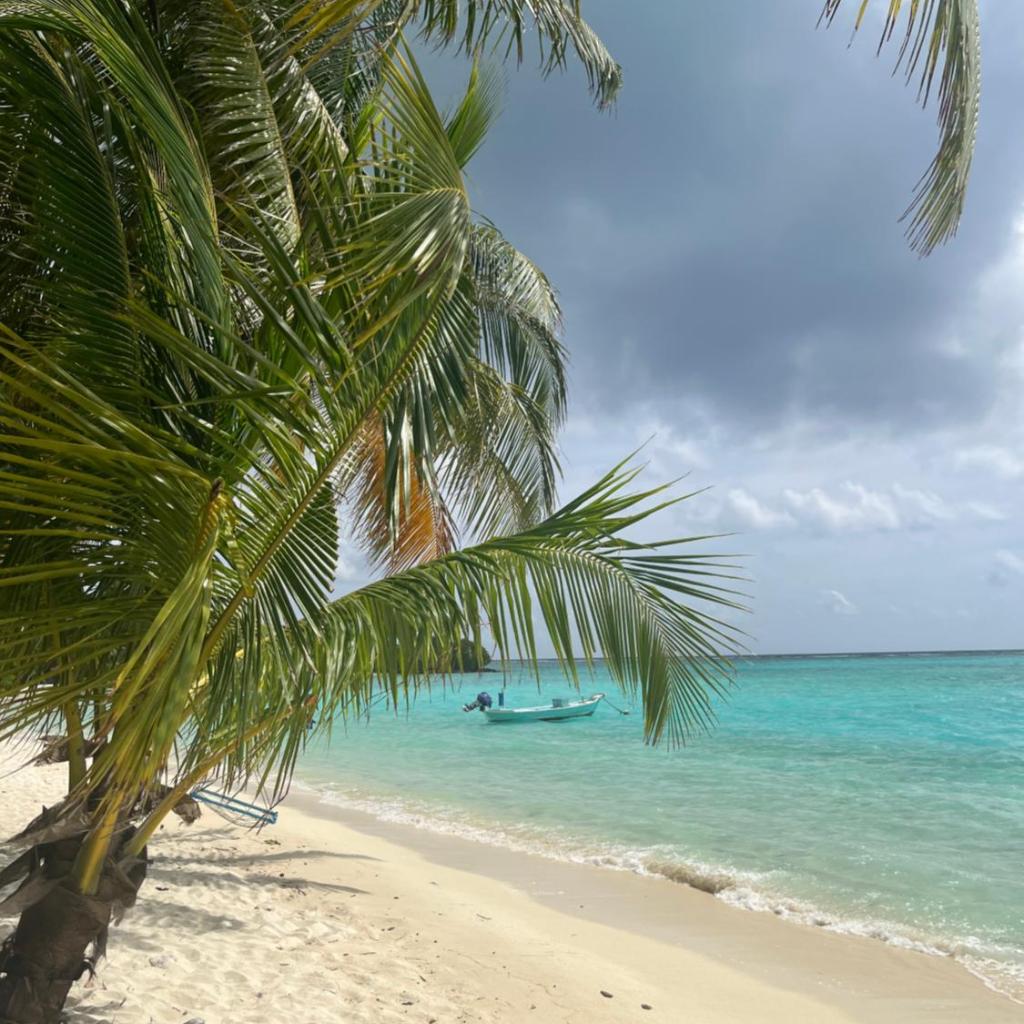 Serenity reef Maldives, photo 4