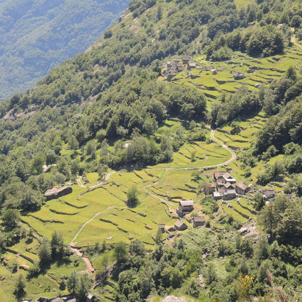 Image 83 - Agri Scinghiöra