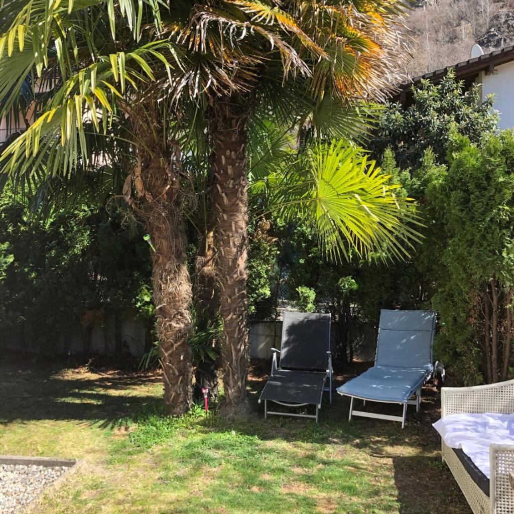 Image 2 - Gemütliche Gartenwohnung im Tessin, 70 qm