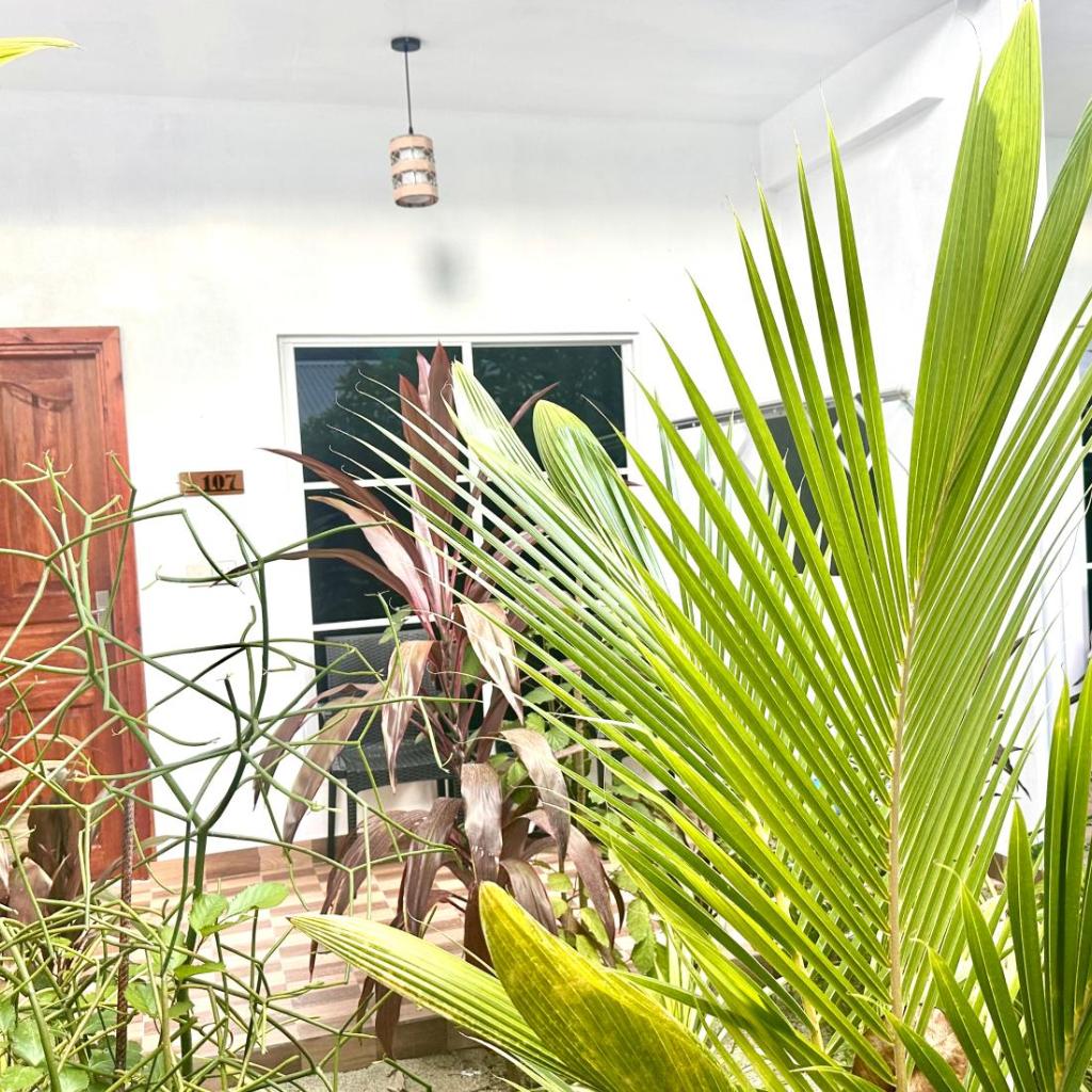 Thoddoo Island Life, photo 4