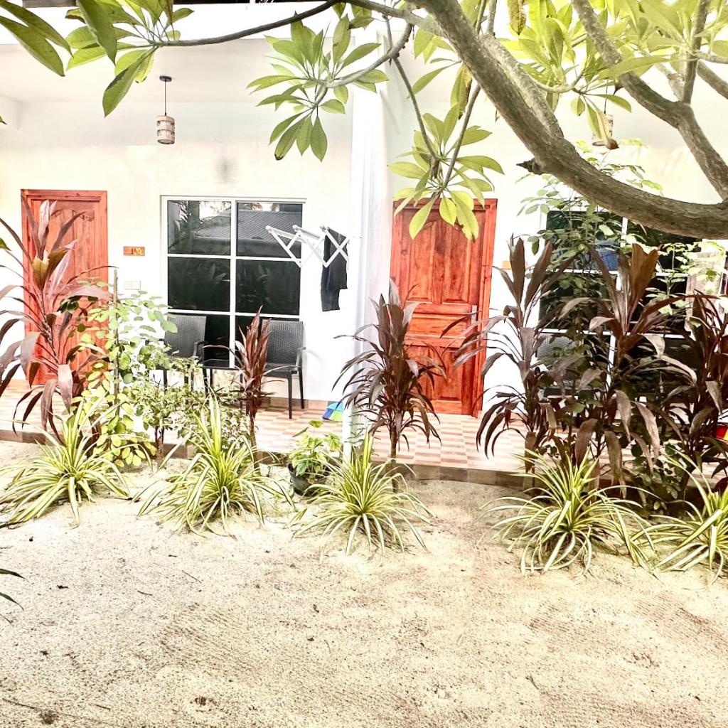 Thoddoo Island Life, photo 3