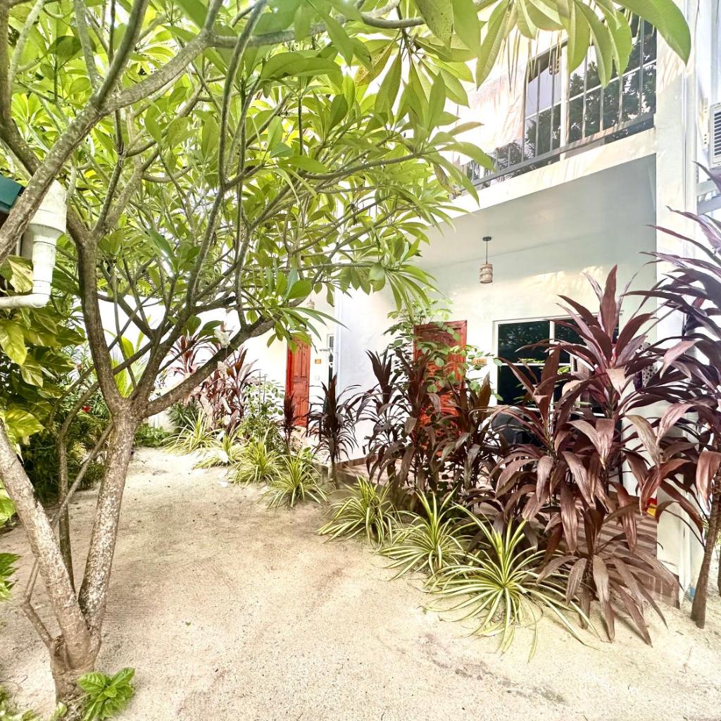 Thoddoo Island Life, photo 2