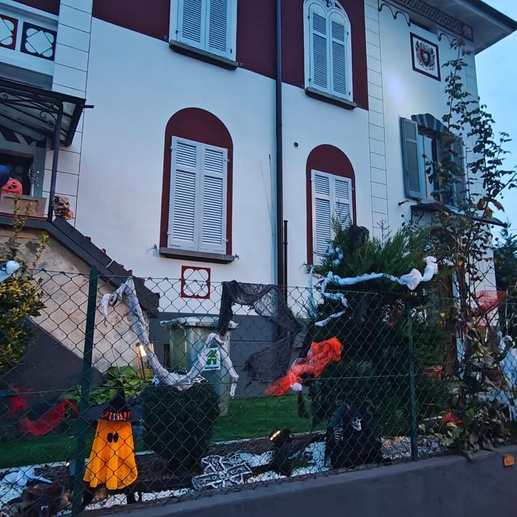 Image 31 - Villa WOLF - A 1919 original Swiss Villa with Garden near Como
