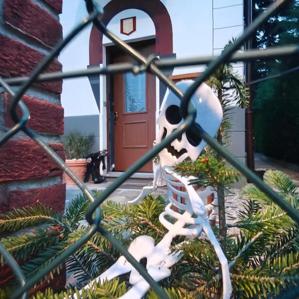 Image 32 - Villa WOLF - A 1919 original Swiss Villa with Garden near Como