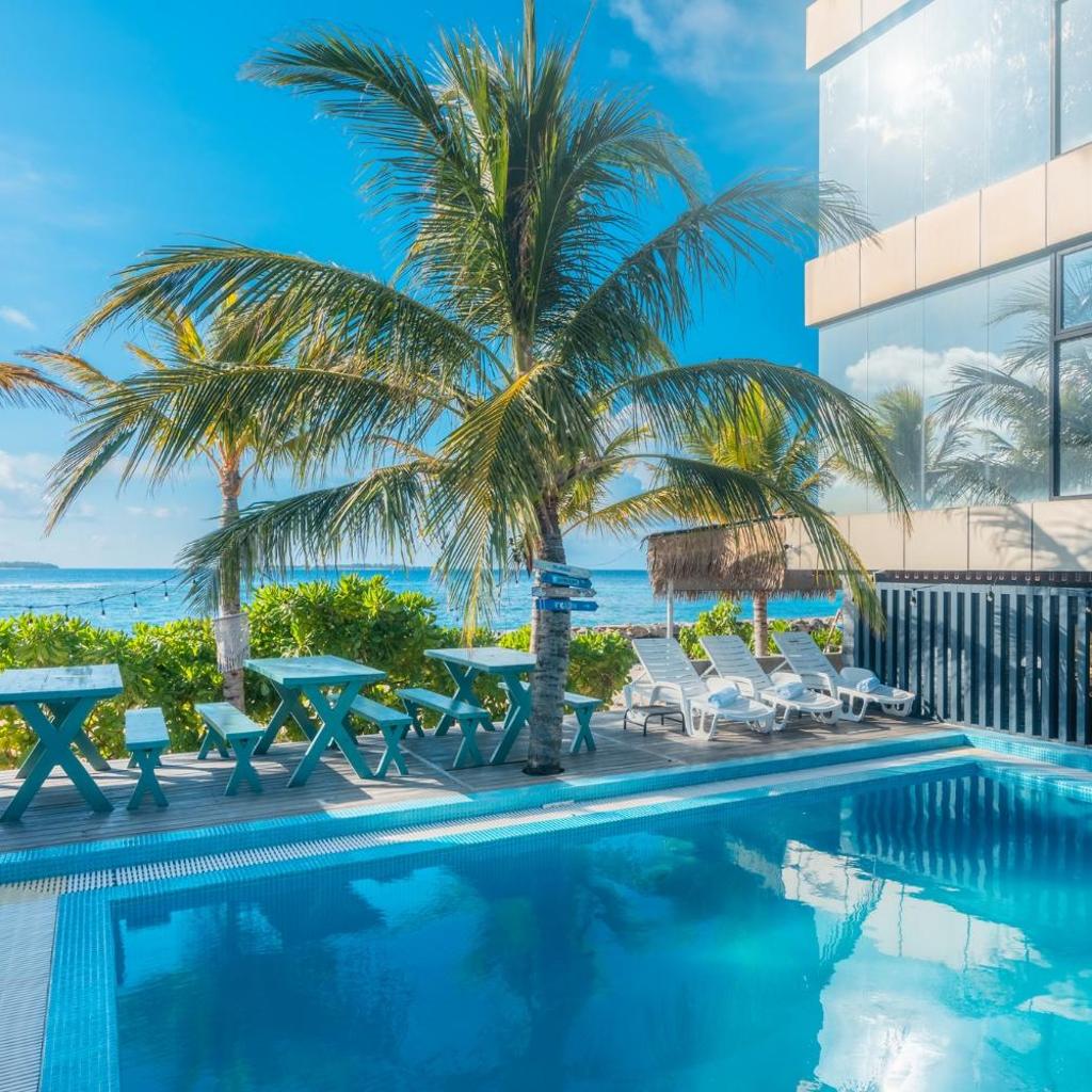 Nest by Hawks Hotels Kamadhoo Baa Atoll, photo 4
