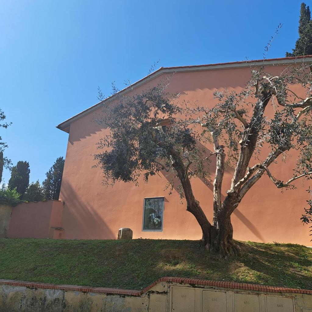 Photograph of La Casa Del Podestà 65
