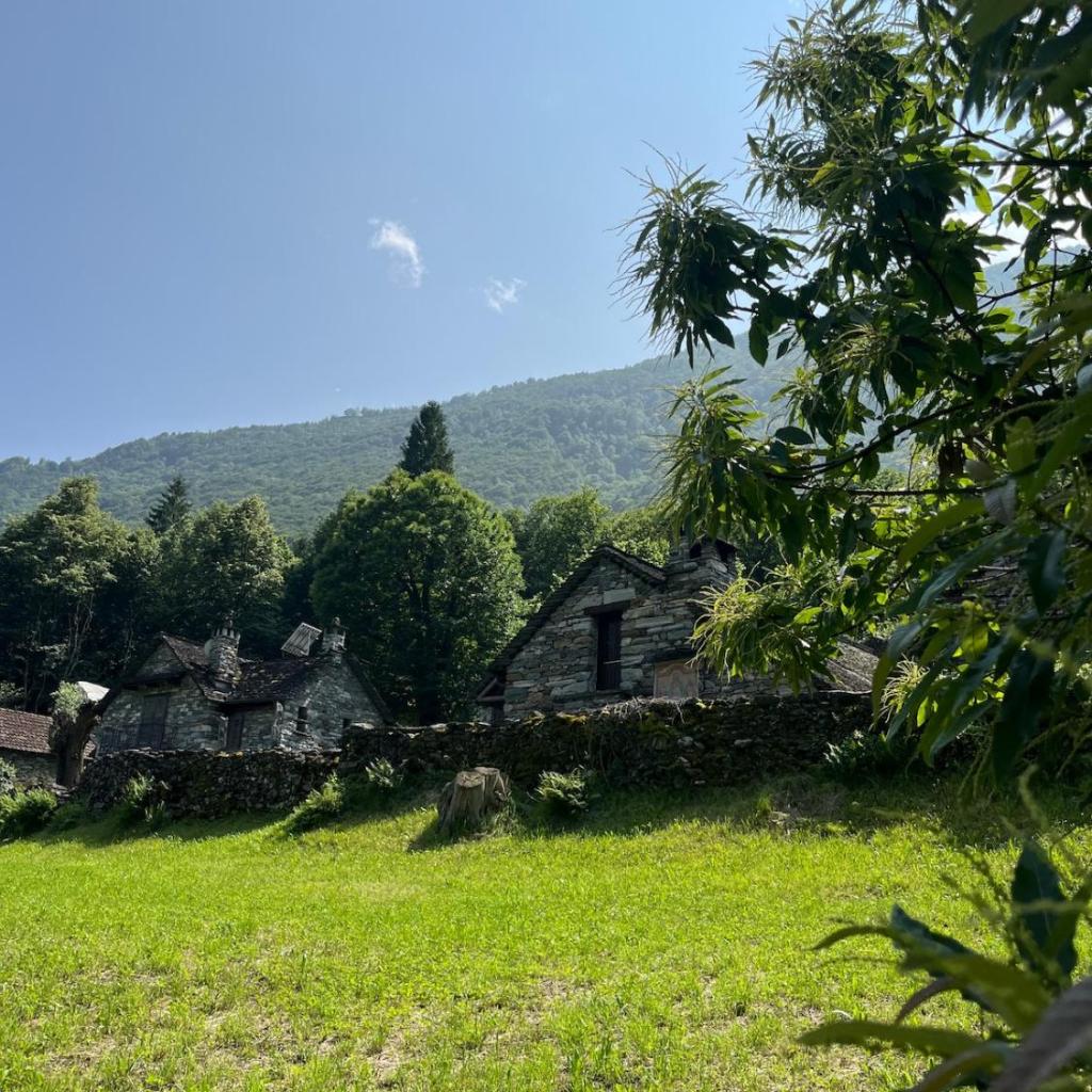 Image 21 - Casa Foresta