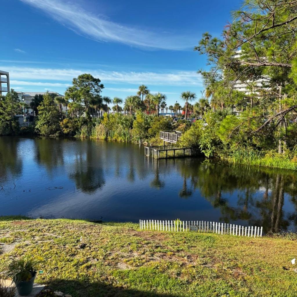 Photograph of Reef Retreat