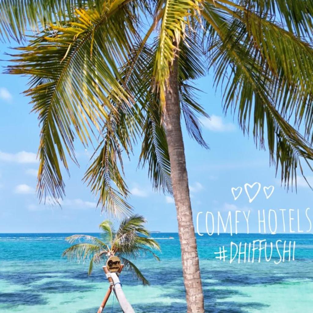 Comfy Cool Breeze by eMzaz, photo 3