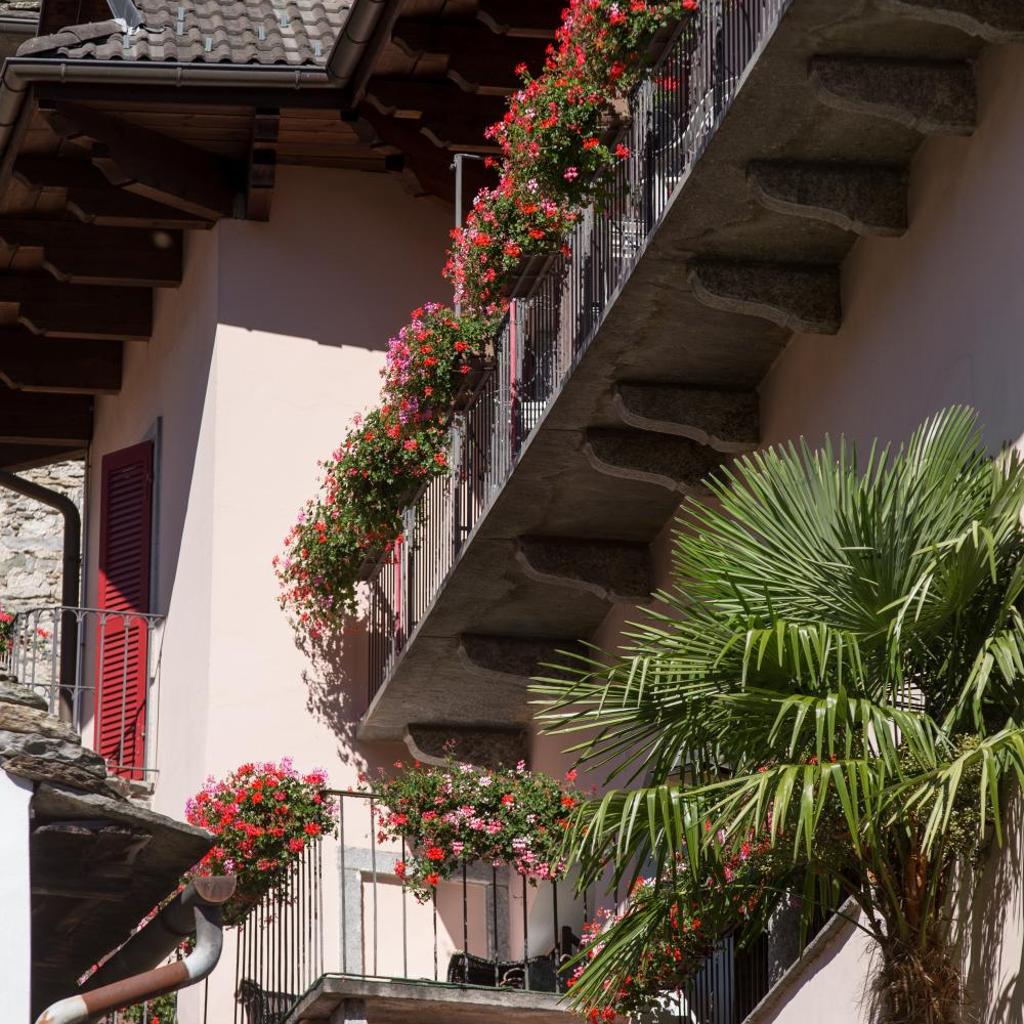 Image 99 - Hotel Antico