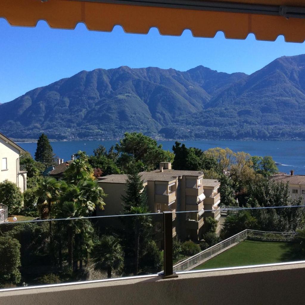 Image 4 - Bellavista by Fewotessin