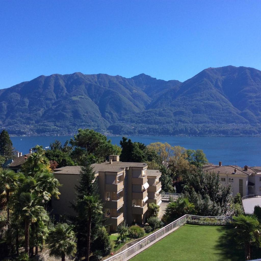 Image 25 - Bellavista by Fewotessin