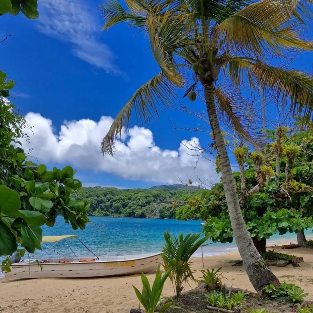 Suítes Sol e Mar - Pé na Areia- Ilha Grande — foto 6