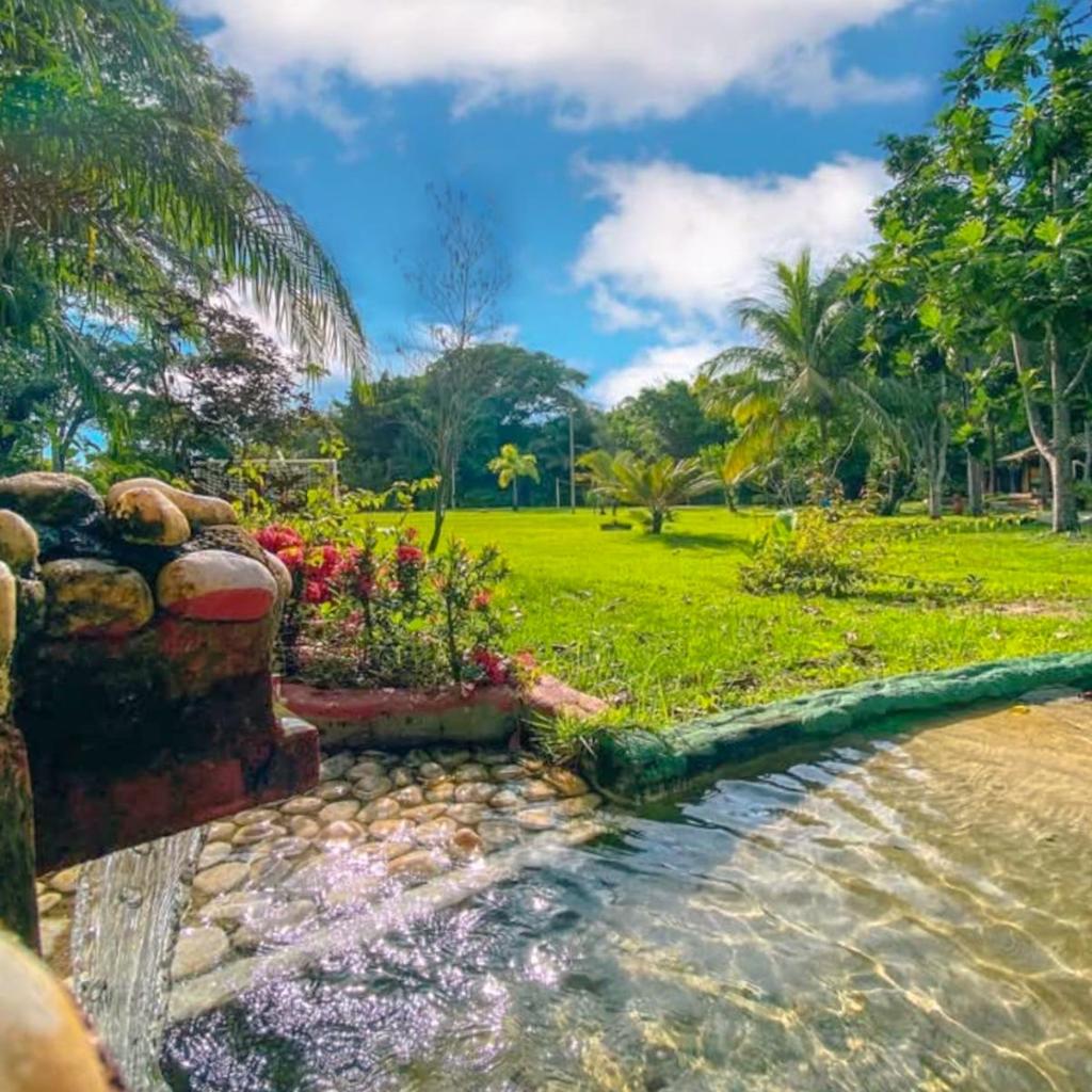 Bosque do Porto Praia Hotel — foto 6