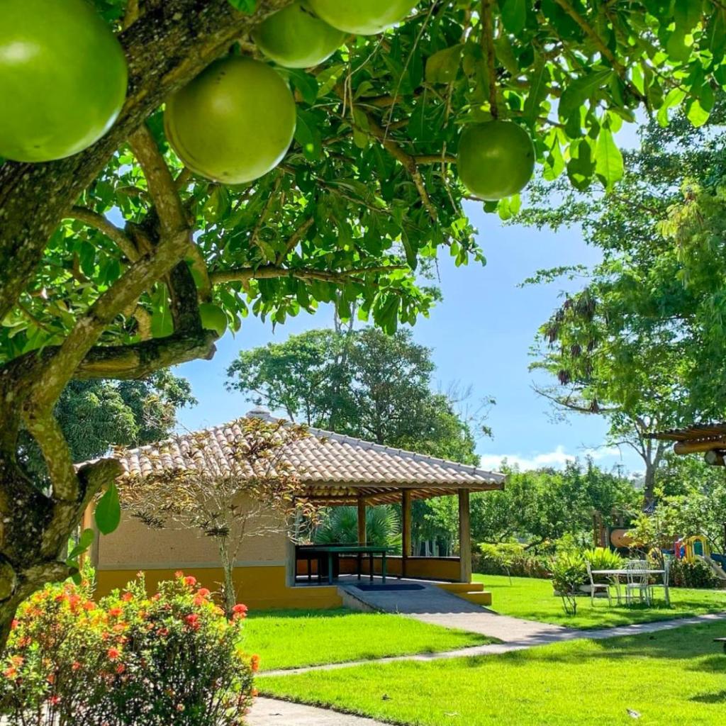 Bosque do Porto Praia Hotel — foto 3