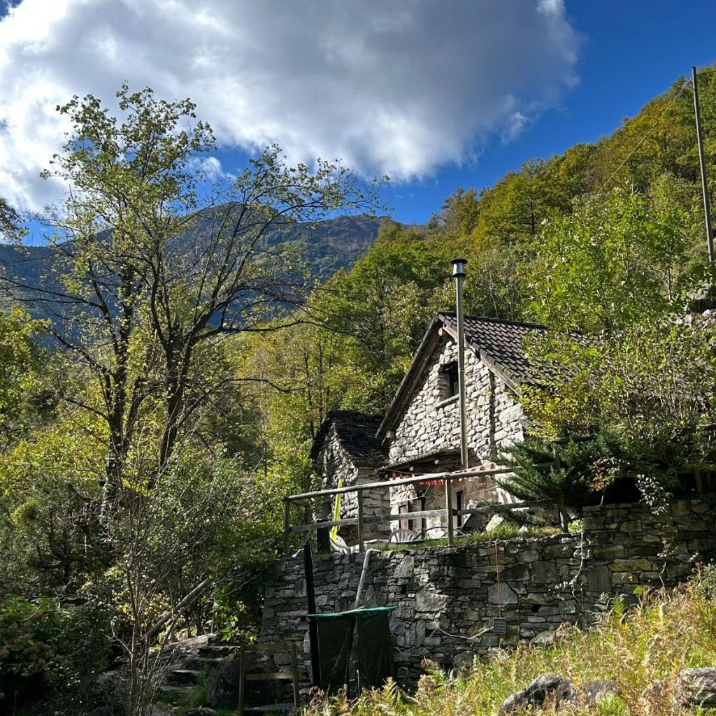 Image 2 - Rustic on the Verzasca River
